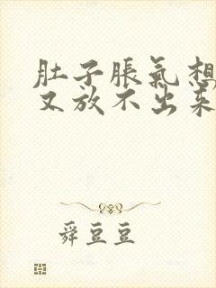 肚子胀气想放屁又放不出来