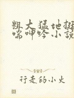 粗大猛地挺进娇喘呻吟小说封面