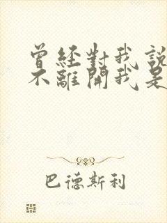 曾经对我说永远不离开我是什么歌