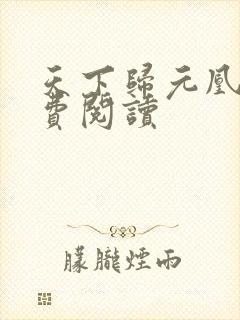 天下归元凰权免费阅读