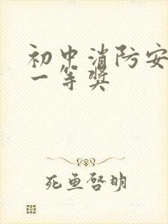 初中消防安全画一等奖