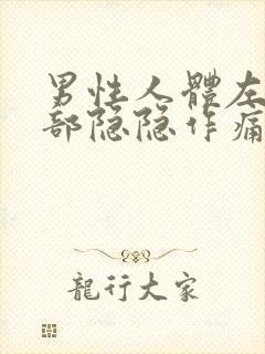 男性人体左下腹部隐隐作痛