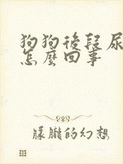 狗狗后段尿带血怎么回事封面