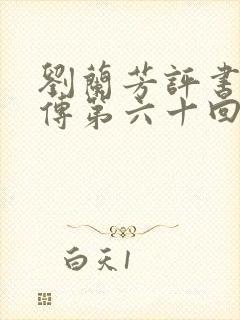 刘兰芳评书岳飞传第六十回封面