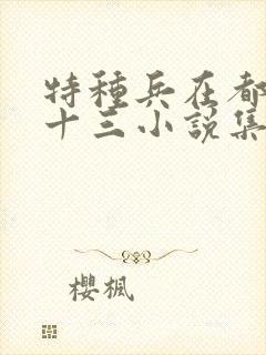 特种兵在都市夜十三小说集