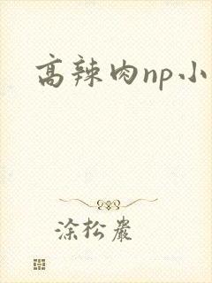 高辣肉np小说封面