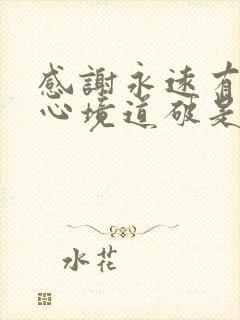 感谢永远有歌把心境道破是哪首歌