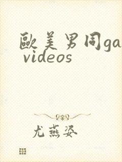 欧美男同gay videos