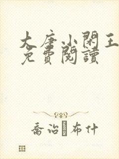 大唐小闲王李慎免费阅读