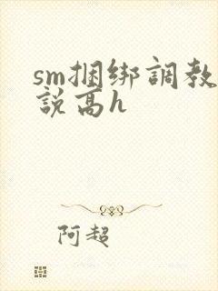 sm捆绑调教小说高h
