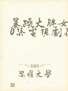 暴躁大胖女人40集电视剧在线观看免费