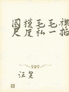 国模毛毛裸体大尺度私一拍