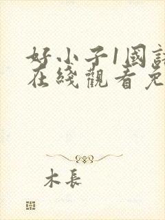 好小子1国语版在线观看免费观看