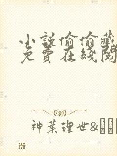 小说偷偷藏不住免费在线阅读