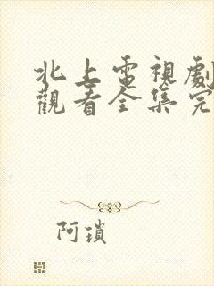 北上电视剧免费观看全集完整版25集封面