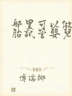 哪里可以做双胞胎试管婴儿封面