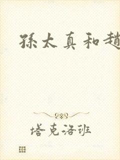 孙太真和赵匡胤