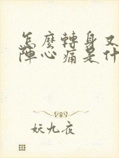 怎么转身又是一阵心痛是什么歌