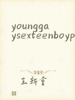 younggaysexteenboypornvideo