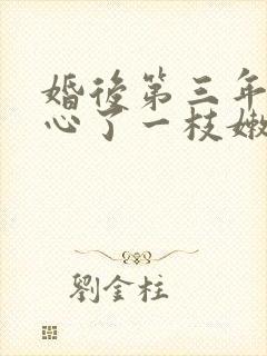 婚后第三年她变心了一枝嫩柳txt