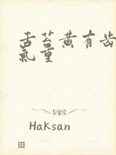 舌苔黄有齿痕湿气重