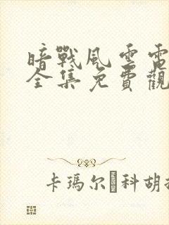 暗战风云电视剧全集免费观看高清