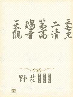 天赐第二季在线观看高清免费封面