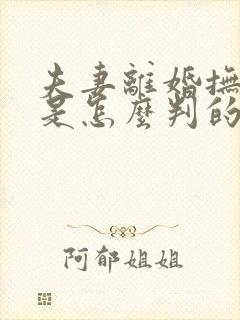 夫妻离婚抚养权是怎么判的