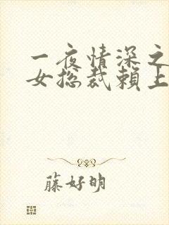 一夜情深之高冷女总裁赖上我封面