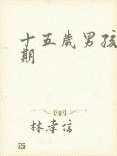 十五岁男孩叛逆期封面