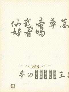 仙武帝尊怎么样好看吗