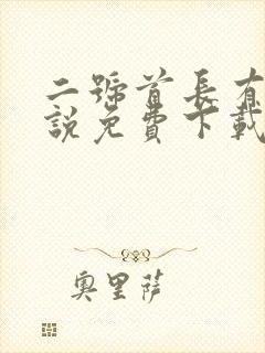 二号首长有声小说免费下载