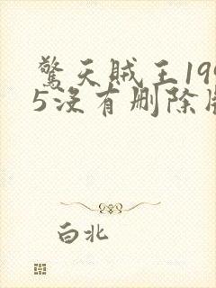 惊天贼王1995没有删除版免费观看