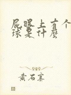 屁眼上有个小肉球是什么