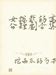 女总裁的高手老公短剧合集封面