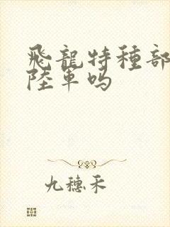 飞龙特种部队是陆军吗