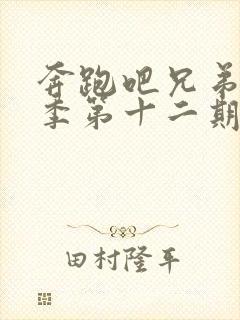 奔跑吧兄弟第五季第十二期画中人