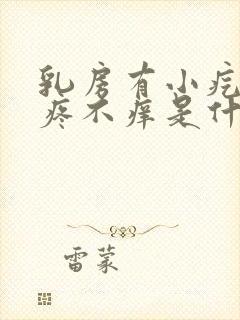 乳房有小疙瘩不疼不痒是什么原因