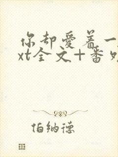 你却爱着一个txt全文+番外