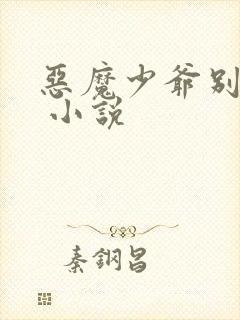 恶魔少爷别惹我 小说