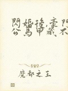 闪婚后,豪门老公马甲藏不住了封面