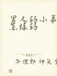 男人的小弟弟是怎样的封面