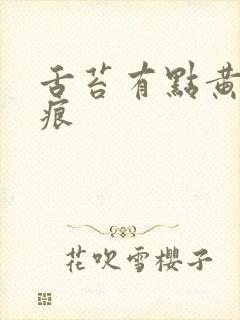 舌苔有点黄有齿痕