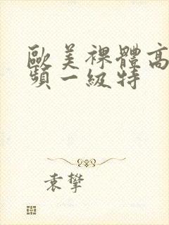 欧美裸体高清视频一级特