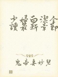 少妇白洁全文阅读最新章节