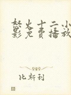 怒火十二小时电影免费播放在线观看封面