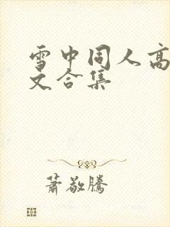 雪中同人高辣h文合集