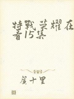 特战荣耀在线观看15集