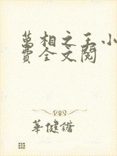 万相之王小说免费全文阅