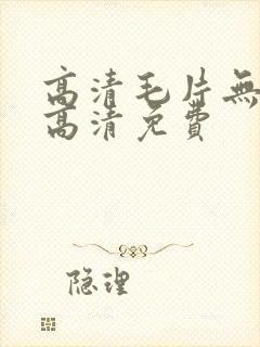 高清毛片无遮挡高清免费